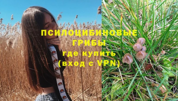 спиды Беломорск