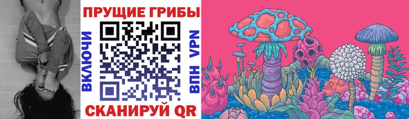Галлюциногенные грибы мицелий  shop состав  Вельск  купить наркоту 